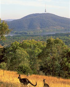 Canberra Centenary Trail - Tourism Cairns 0