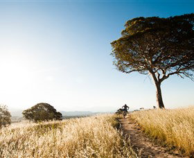 Canberra Centenary Trail - Tourism Cairns 1