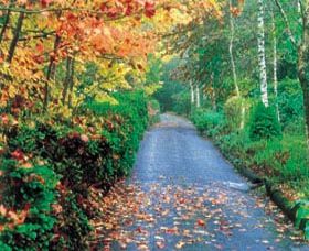 Mount Wilson And Mount Irvine - Tourism Cairns 0