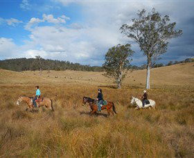 Howes Valley NSW Tourism Cairns