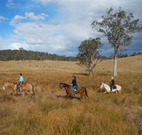 Chapman Valley Horse Riding - Tourism Cairns