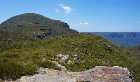 Mount Banks Road Cycle Route - Tourism Cairns 0