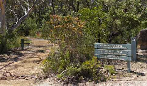 Mount Banks Road Cycle Route - Tourism Cairns 1