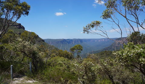 Mount Banks Road Cycle Route - Tourism Cairns 2