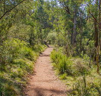 Mares Forest Creek walking track - Tourism Cairns
