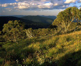 Namadgi National Park And Visitors Centre - Tourism Cairns 2