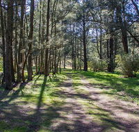 Wombeyan Waterfall walking track - Tourism Cairns
