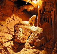 Fig Tree Cave - Tourism Cairns