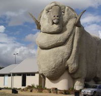 Big Merino - Tourism Cairns