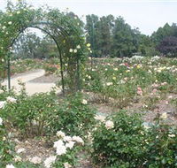 Victoria Park Rose Garden - Tourism Cairns