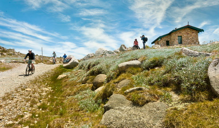 Kosciuszko National Park NSW Tourism Cairns