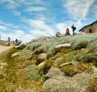Mount Kosciuszko Summit walk - Tourism Cairns
