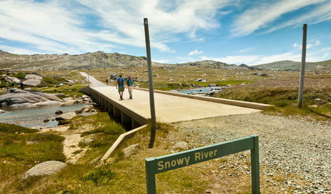 Mount Kosciuszko Summit Walk - Tourism Cairns 3