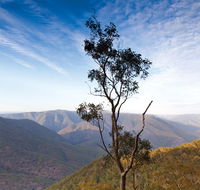 Salisbury Waters walking track - Tourism Cairns