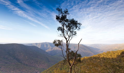 Salisbury Waters Walking Track - Tourism Cairns 0