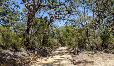 Howes Trail - Tourism Cairns 0