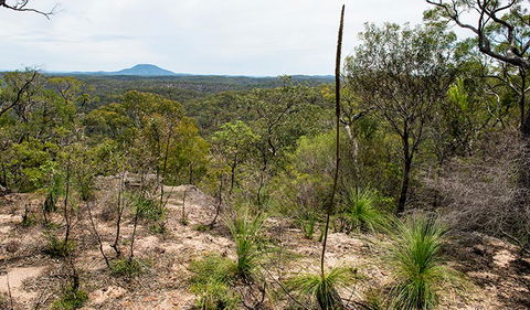 Howes Trail - Tourism Cairns 1