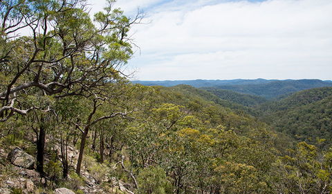 Howes Trail - Tourism Cairns 2