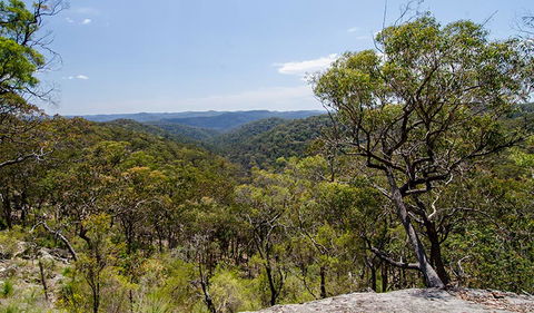 Howes Trail - Tourism Cairns 3