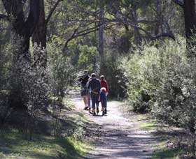 Walyunga National Park WA Tourism Cairns