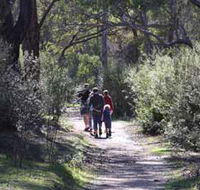 Syd's Rapids and Aboriginal Heritage Trail Avon Valley - Tourism Cairns