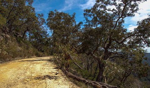 Parr State Conservation Area - Tourism Cairns 0