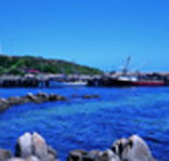 King Island Dairies - Tourism Cairns