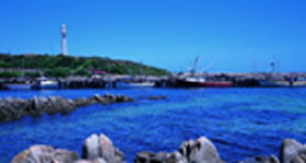 King Island Dairies - Tourism Cairns 0