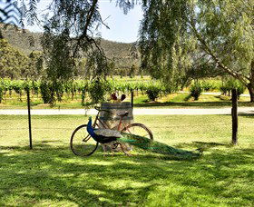 Stomp! Wines - Tourism Cairns 3