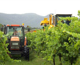 Stomp! Wines - Tourism Cairns 8
