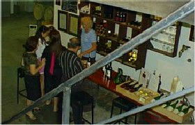 John Kosovich Wines - Tourism Cairns 1