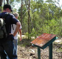 Finchley cultural walk - Tourism Cairns