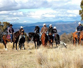 Snowy Wilderness - Tourism Cairns 0