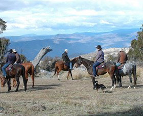 Snowy Wilderness - Tourism Cairns 3
