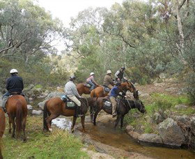 Snowy Wilderness - Tourism Cairns 5