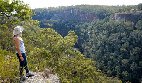 Glenbrook Gorge Track - Tourism Cairns 2