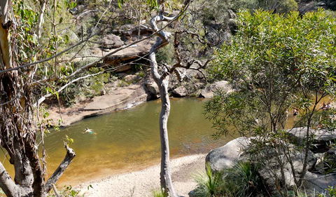 Glenbrook Gorge Track - Tourism Cairns 1