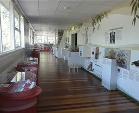 Kanyana Wildlife Rehabilitation Centre - Tourism Cairns 1