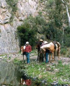 Yarramba Horse Riding - Tourism Cairns 0