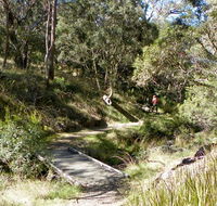 Wollomombi walking track - Tourism Cairns