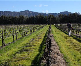 Around Hermitage Wine And Food Trail Hunter Valley - Tourism Cairns 1