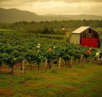 Around Hermitage Wine and Food Trail Hunter Valley - Tourism Cairns