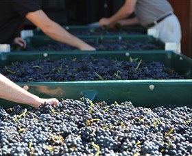Around Hermitage Wine And Food Trail Hunter Valley - Tourism Cairns 6