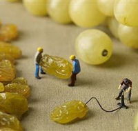 Hunter Valley Wine School - Tourism Cairns
