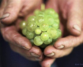 Keith Tulloch Wine - Tourism Cairns 1