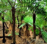 Pegarah Private Nature Reserve  Parenna Place - Tourism Cairns