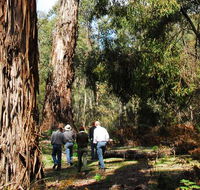 Tallaganda National Park - Tourism Cairns