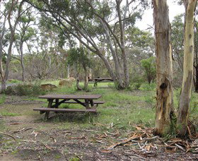 Box Vale Picnic Area - Tourism Cairns 2