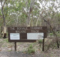 Box Vale Picnic Area - Tourism Cairns