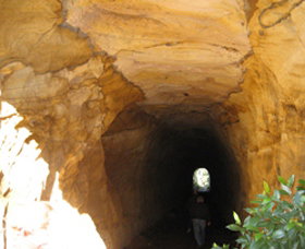 Box Vale Picnic Area - Tourism Cairns 1